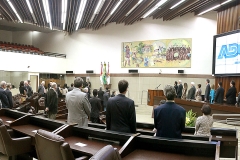 PanorAmica-05-Hino